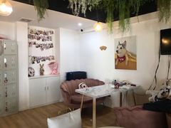 -Husky Go! 哈士奇体验馆·宠物咖啡厅狗咖