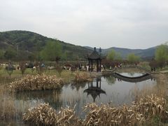 -石塘人家