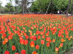 -长春公园(普阳街道)