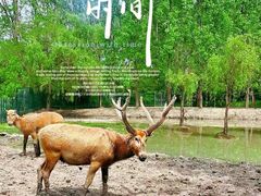 -溱湖国家湿地公园