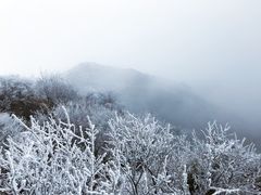 -峨嵋山金顶