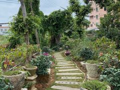 -园林美食城·本土农家菜(杨和镇店)