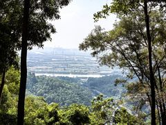 -滴水岩森林公园