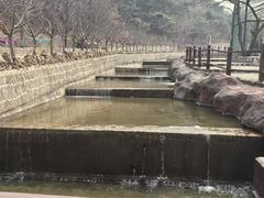 -山叶口景区