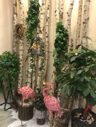 -新蝶变皮肤管理中心