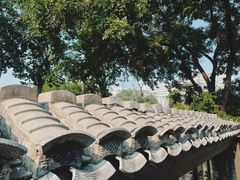 -萤火虫咖啡(砖著店)