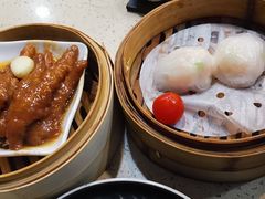 金牌虾饺皇-点都德(龙之梦店)