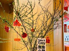 -代数学家algebraist(苏州中心店)