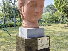 -王借岗森林公园