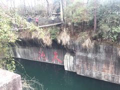 -千岛湖东南湖区