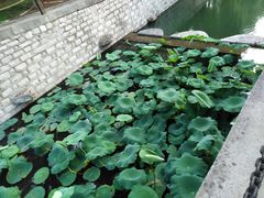 -山东艺术学院(长清校区)