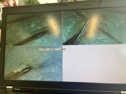 -章光101防脱养发荟