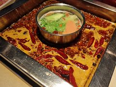 -二荆条·蜀鲜汇城市森林火锅