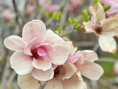 -北京明城墙遗址公园