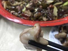 -东吴霸王兔(松青路店)