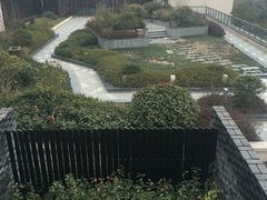 -上海崇明金茂凯悦酒店