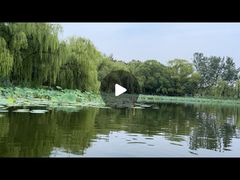 -WhaleSports户外水上运动俱乐部(朝阳公园店)