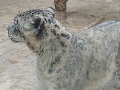 -青藏高原野生动物园