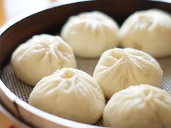 鲜肉小笼包-桐香园小笼包(百井坊巷店)