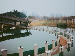 -眉山湿地公园(东坡区)