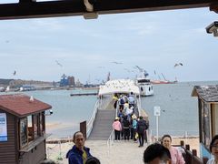 -海驴岛(荣成市)