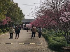 -上海海湾国家森林公园