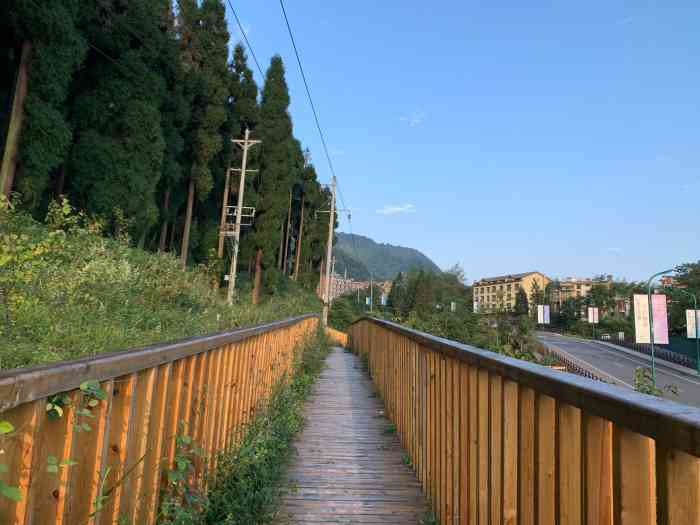峨眉山七里坪森林栈道景区-"几年前来七里坪就很喜欢这里,面积很大,景