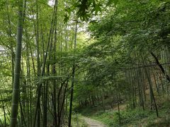 -南山风景名胜区