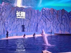 -珠海长隆海洋王国