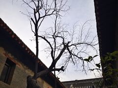 -康百万庄园