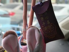 -苏帮袁Sue Cuisine(南开大悦城店)
