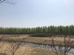 -东郊湿地公园