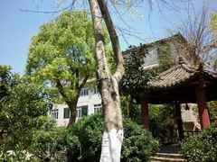 这是当地的农家乐-罗泉古镇