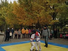 -玲珑塔公园