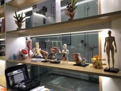 门面-1001普拉提运动