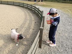 -前小桔亲子创意农场·草莓采摘·露营烧烤