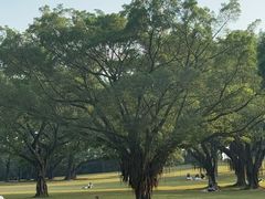 -东莞植物园