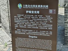 -上海佘山国家森林公园天马山园