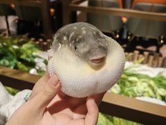 -肆月河豚·淮扬菜·湘菜(华天店)