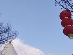 -合肥滨湖国家森林公园