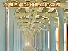 -宝安西湾红树林湿地公园