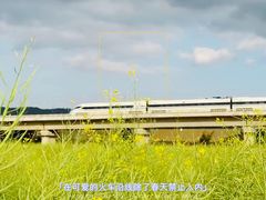 -光明小镇欢乐田园