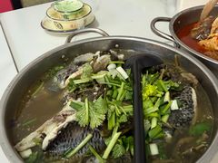 -风鑫铃罗非鱼(道沟店)