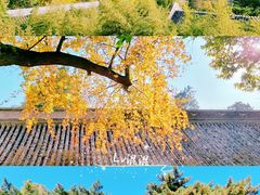 -潭柘寺景区