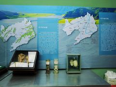 -辽宁大学(崇山校区)