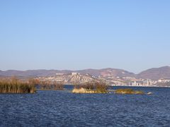 -洱海月湿地公园