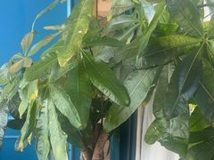 -靓湾海鲜·海景餐厅(小麦岛店)