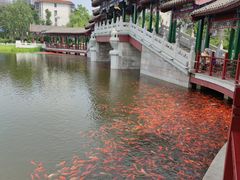 -西海子公园