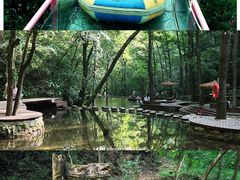 -牛背梁国家森林公园