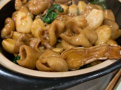 -乡亲鹅肉城(吴江店)